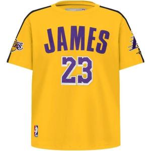 Pro Standard Big Kids Los Angeles Lakers Classic PNN Cotton Short Sleeve Tee(Yellow/Black)