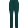 Pro Standard Womens NFL Arizona Cardinals Classic Chenille Sweatpant(Forest Green)