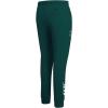 Pro Standard Womens NFL Arizona Cardinals Classic Chenille Sweatpant(Forest Green)
