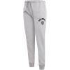 Pro Standard Womens NFL Arizona Cardinals Classic Chenille Sweatpant(Heather Grey)