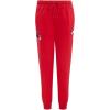Pro Standard Womens NFL Arizona Cardinals Classic Chenille Sweatpant(Red)