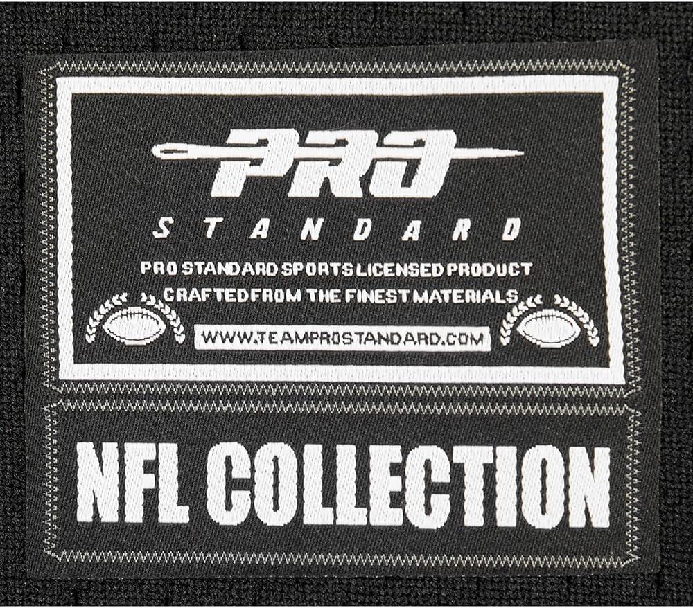 imagePro Standard Big Boys NFL Las Vegas Raiders Mesh Button Down Mesh Top BlackGray XL