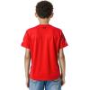Pro Standard Big Boys NFL Buffalo Bills Classic Chenille Short Sleeve Tee Red S