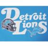 Detroit Lions NFL Men’s Jersey Tee (Aqua) by Pro Standard(Aqua)