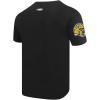 Green Bay Packers Mashup Men’s T-Shirt by Pro Standard(Black)