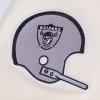 Pro Standard Mens NFL Las Vegas Raiders Retro Cascade Shor Sleeve Tee Eggshell/Black M