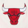 Pro Standard NBA Mens Mens NBA Echo Logo Cotton Short Sleeve Tee(Eggshell)