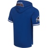 Pro Standard Mens NHL Classic Chenille Double Knit Short Sleeve Hoodie(Team Color)