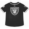 Pro Standard Big Boys NFL Las Vegas Raiders Mesh Button Down Mesh Top Black/Gray L