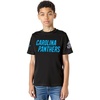 Pro Standard Big Boys NFL Carolina Panthers Classic Chenille Short Sleeve Tee Black S
