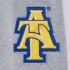 Pro Standard Mens College Classic Chenille Brushed Back French Terry Crewneck Sweatshirt(Heather Grey/Dodger Blue)