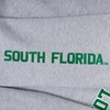 Pro Standard Mens College Classic Chenille Brushed Back French Terry Crewneck Sweatshirt(Heather Grey/Green)