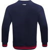 Pro Standard Mens College Classic Chenille Brushed Back French Terry Crewneck Sweatshirt(Team Color)