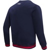 Pro Standard Mens College Classic Chenille Brushed Back French Terry Crewneck Sweatshirt(Team Color)