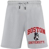 Pro Standard Mens College Classic Chenille Brushed Back French Terry Fleece Short