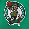 Pro Standard NBA Womens Womens NBA Classic Chenille Bike Short(Kelly Green)