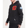 Pro Standard NHL mens Mens Nhl Classic Chenille Cotton Double Knit Pull Over Hoodie(Black)