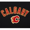 Pro Standard Womens NHL Classic Chenille Brushed Back French Terry Crewneck Sweatshirt(Black)