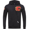 Pro Standard NHL mens Mens Nhl Classic Chenille Cotton Double Knit Pull Over Hoodie(Black)