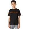 Pro Standard Big Boys NFL Cincinnati Bengals Classic Chenille Short Sleeve Tee Black M