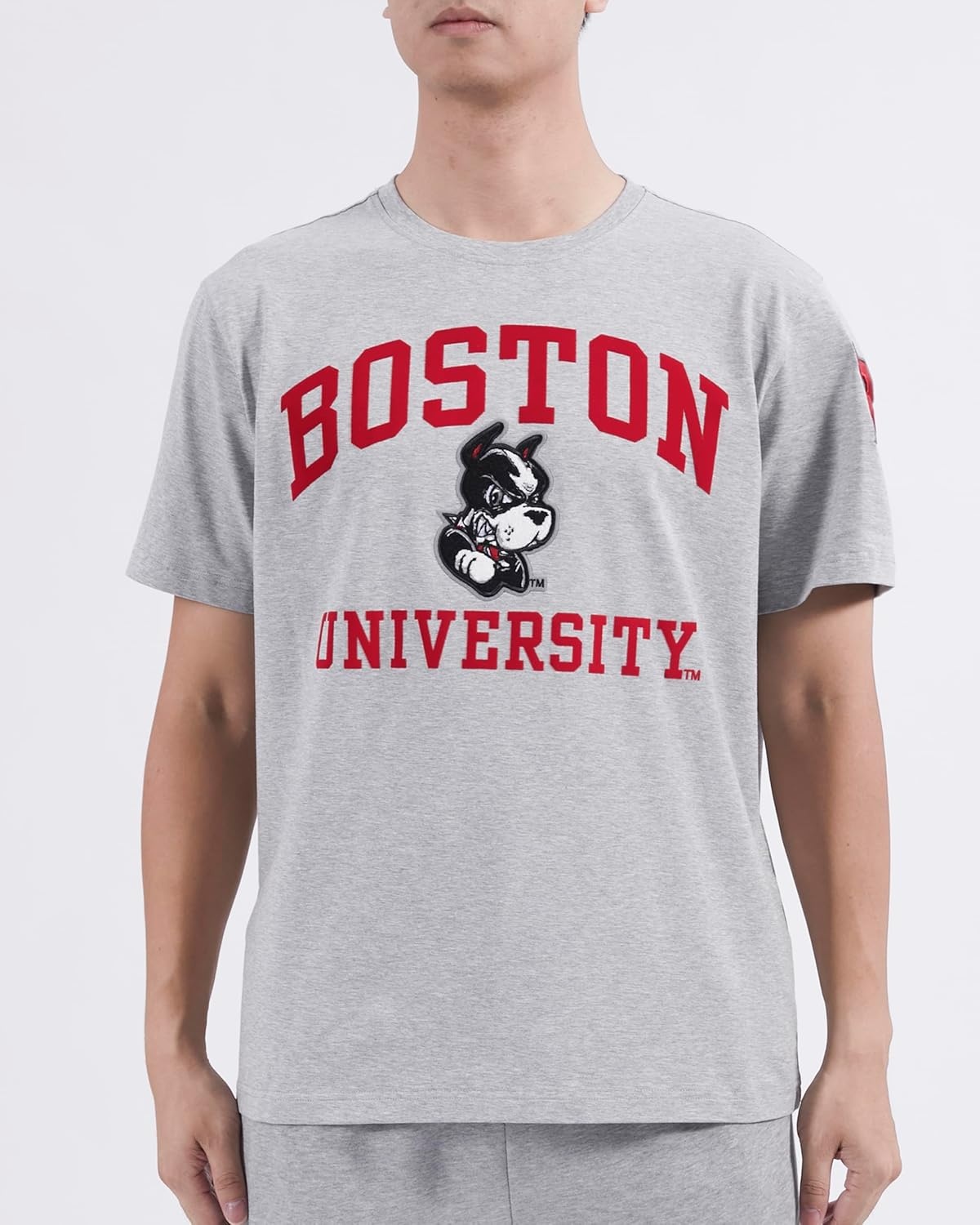 image:imagePro Standard Mens Mens College College Classic Chenille Cotton Single Short Sleeve TeeHeather Grey
