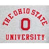 Pro Standard Mens College Classic Chenille Brushed Back French Terry Fleece Short(Heather Grey)
