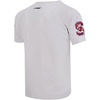Pro Standard Mens Mens College College Classic Chenille Cotton Single Short Sleeve Tee(Royal Blue)