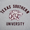 Pro Standard Mens Mens College College Classic Chenille Cotton Single Short Sleeve Tee(Wine)