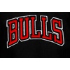 Pro Standard NBA boys Pro Standard Big Boys Nba Classic Chenille Wool Varsity Jacket(Jet Black)