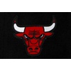 Pro Standard NBA boys Pro Standard Big Boys Nba Classic Chenille Wool Varsity Jacket(Jet Black)