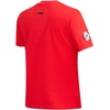 Pro Standard NHL Womens Pro Standard Womens NHL Classic Chenille Short Sleeve Slim Tee(Red)
