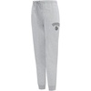 Pro Standard NBA Womens Womens NBA Classic Chenille Brushed Back French Terry Sweatpant(Heather Grey)