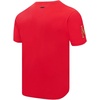 Pro Standard NHL Mens Pro Standard Mens NHL Classic Chenille Short Sleeve Tee(Red)