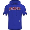 Pro Standard NHL mens Mens Nhl Classic Chenille Cotton Double Knit Short Sleeve Hoodie(Team Color)