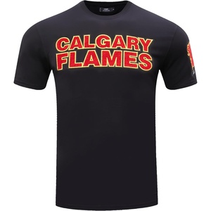 Pro Standard NHL Mens Pro Standard Mens NHL Classic Chenille Short Sleeve Tee(Black)