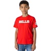 Pro Standard Big Boys NFL Buffalo Bills Classic Chenille Short Sleeve Tee Red M