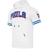 Pro Standard Men’s NBA Classic Chenille Cotton Double Knit Short Sleeve Hoodie