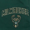 Pro Standard NBA Womens Womens NBA Classic Chenille Fleece Fleece Short(Forest Green)