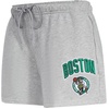 Pro Standard NBA Womens Womens NBA Classic Chenille Fleece Fleece Short(Heather Grey)