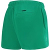 Pro Standard NBA Womens Womens NBA Classic Chenille Fleece Fleece Short(Kelly Green)