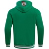 Pro Standard Mens NBA Script Tail Brushed Back French Terry Pull Over Hoodie(Team Color)