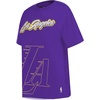 Pro Standard NBA Womens Womens NBA Sheer Influence Boyfriend Fit Tee(Purple)
