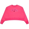Pro Standard NBA womens Womens Nba Classic Triple Pink Brushed Back French Terry Crewneck Sweatshirt(Beetroot Purple)