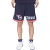 Pro Standard Mens NFL Mesh Short