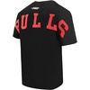 Pro Standard Mens Mens NBA Wingspan Cotton Short Sleeve Tee