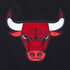 Pro Standard Mens Mens NBA Wingspan Cotton Short Sleeve Tee