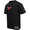 Pro Standard Mens Mens NBA Wingspan Cotton Short Sleeve Tee