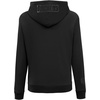 Pro Standard Womens NFL Classic Brushed Back French Terry Pull Over Hoodie
