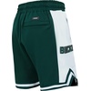 Pro Standard NBA Mens Pro Standard Mens NBA Script Tail Cotton Double Knit Athletic Short(Forest Green)