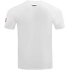 Pro Standard Mens Ohio State University Classic Chenille Short Sleeve Tee White M